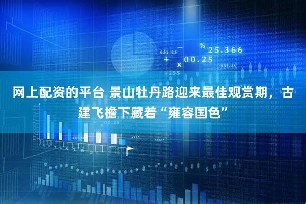 网上配资的平台 景山牡丹路迎来最佳观赏期，古建飞檐下藏着“雍容国色”