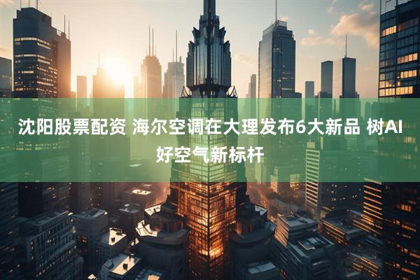 沈阳股票配资 海尔空调在大理发布6大新品 树AI好空气新标杆